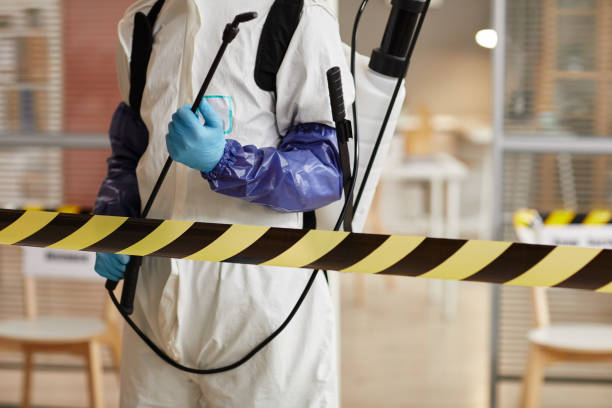 Professional Sewage Cleanup technician working in Lansdowne, MD